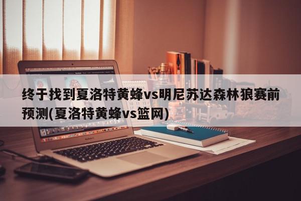 终于找到夏洛特黄蜂vs明尼苏达森林狼赛前预测(夏洛特黄蜂vs篮网)