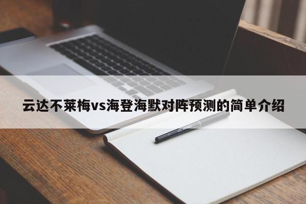 云达不莱梅vs海登海默对阵预测的简单介绍