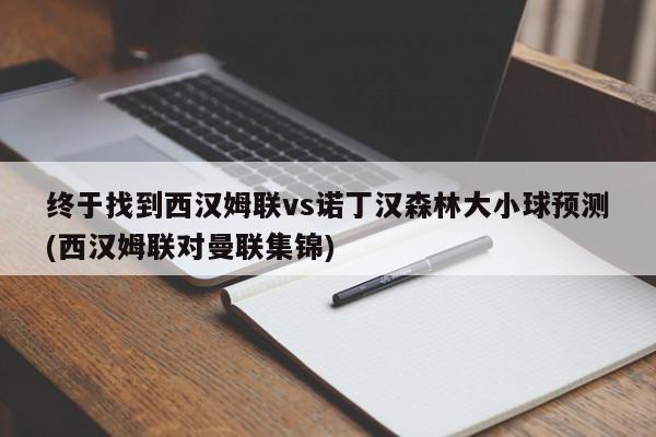 终于找到西汉姆联vs诺丁汉森林大小球预测(西汉姆联对曼联集锦)