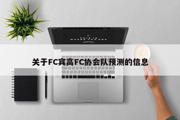 关于FC宾高FC协会队预测的信息